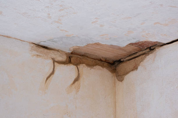 Best Fire Damage Restoration  in Boulder Creek, CA