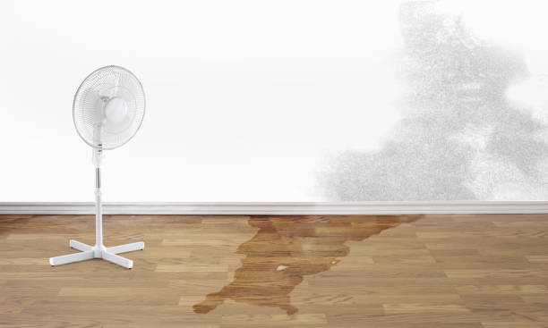 Best Residential water damage restoration  in Boulder Creek, CA