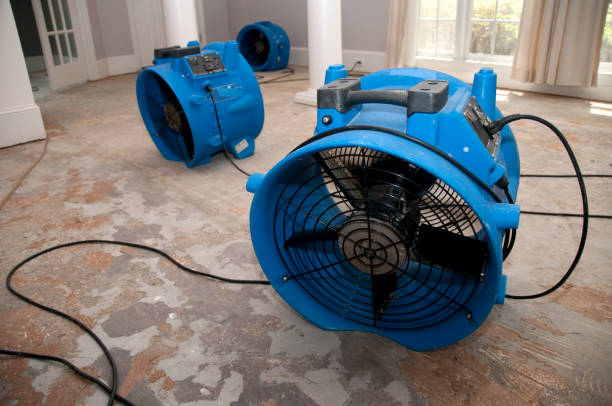 Reliable Boulder Creek, CA Water damage restoration Solutions