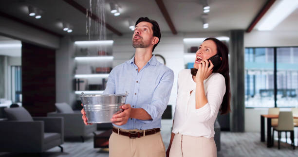 Best Carpet water damage restoration  in Boulder Creek, CA